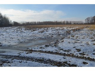 Property photo 47 - FARMLAND AUCTION, 60+/- Acres in 6 Tracts ranging from 4 to 20 acres & in combinations!